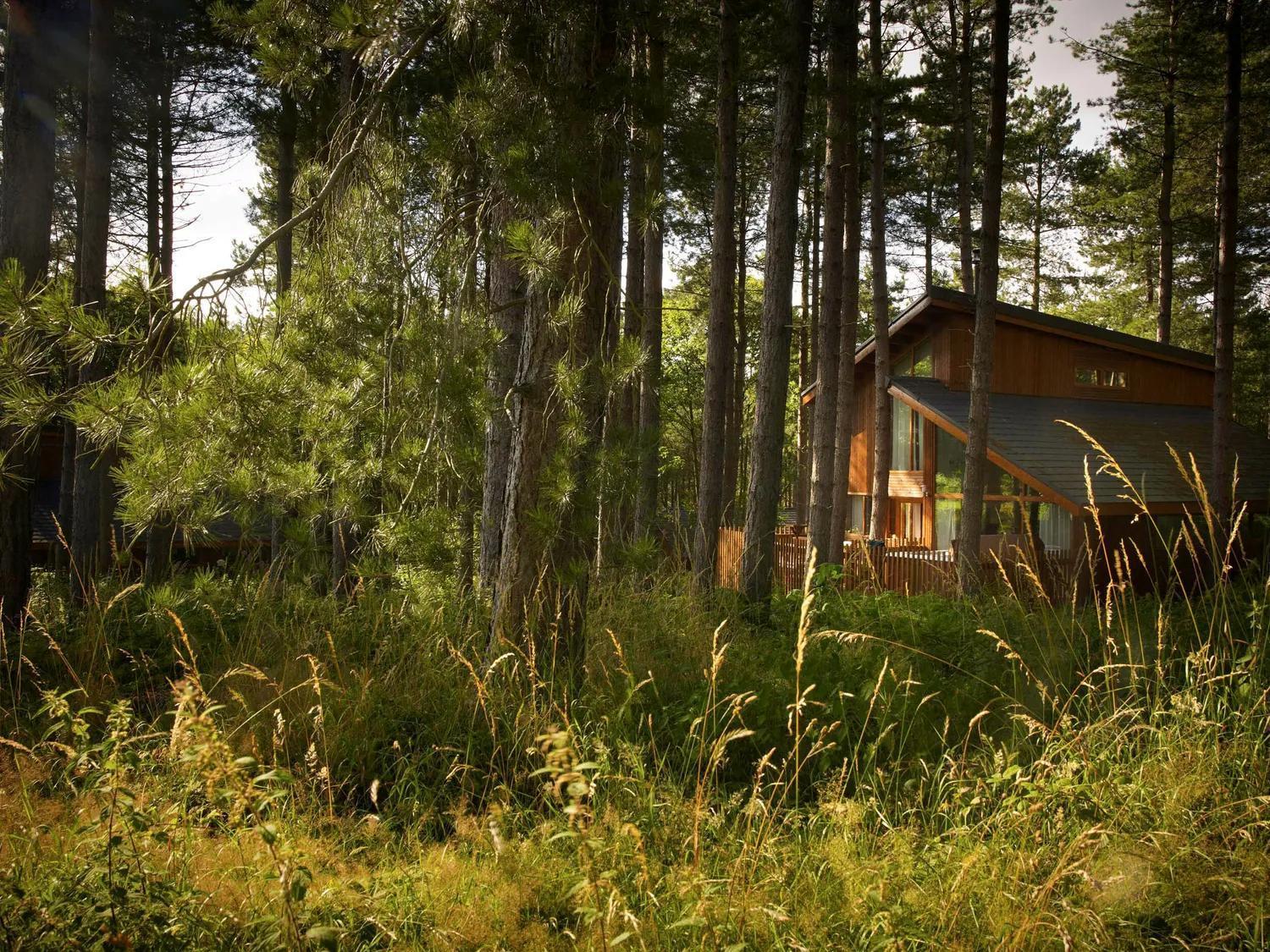 Blackwood Forest Cabins - Forest Holidays Popham Esterno foto