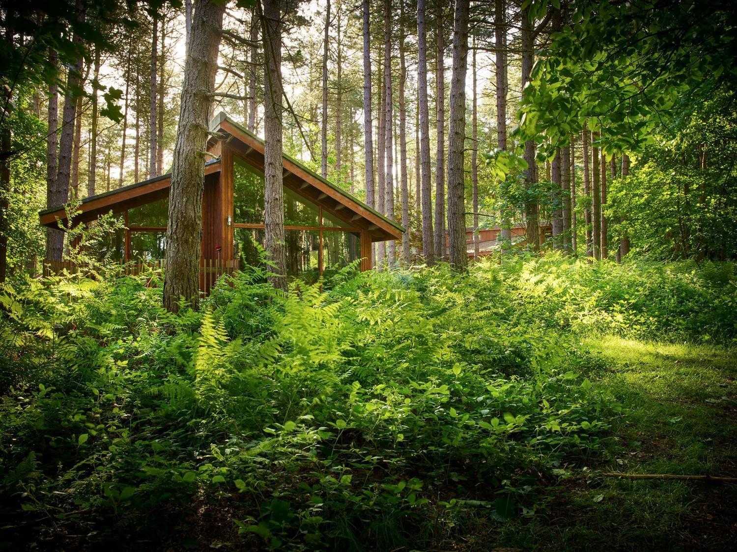Blackwood Forest Cabins - Forest Holidays Popham Esterno foto
