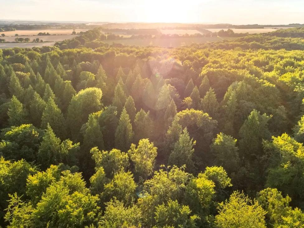Blackwood Forest Cabins - Forest Holidays Popham Esterno foto