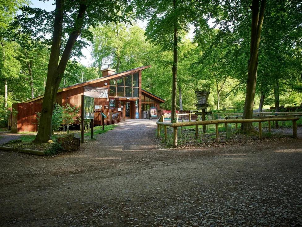 Blackwood Forest Cabins - Forest Holidays Popham Esterno foto