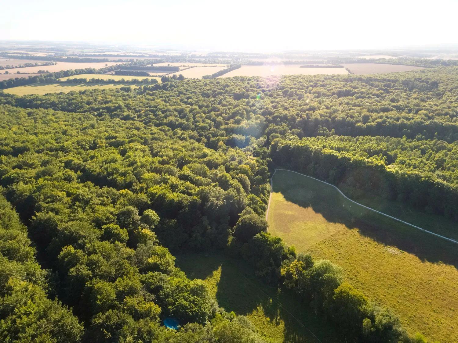 Blackwood Forest Cabins - Forest Holidays Popham Esterno foto